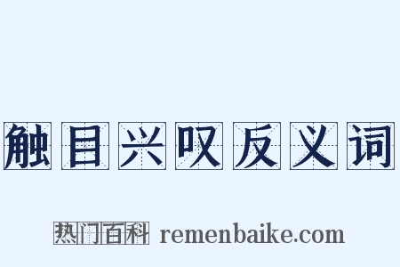 触目兴叹反义词是什么意思的图片